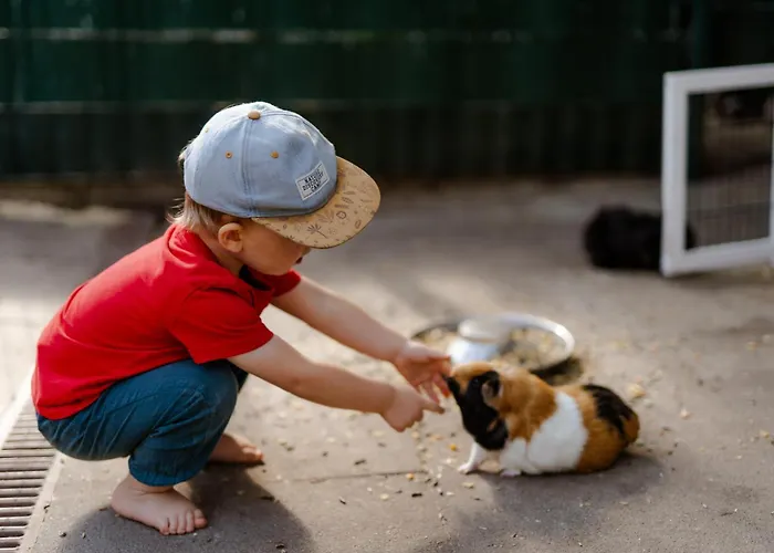 Achter De Hoef Whg 3 Appartamento Staberdorf