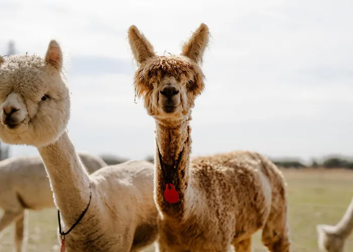 Appartamento Achter De Hoef Whg 3