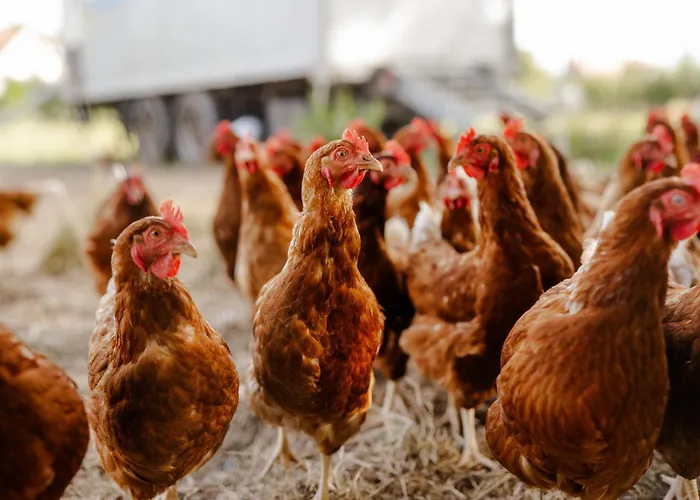 Achter De Hoef Whg 3 Appartamento Staberdorf