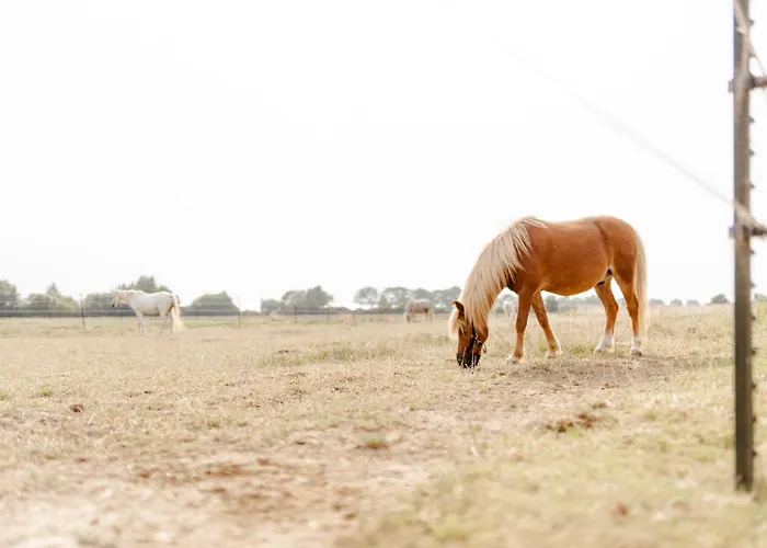 Achter De Hoef Whg 3 *