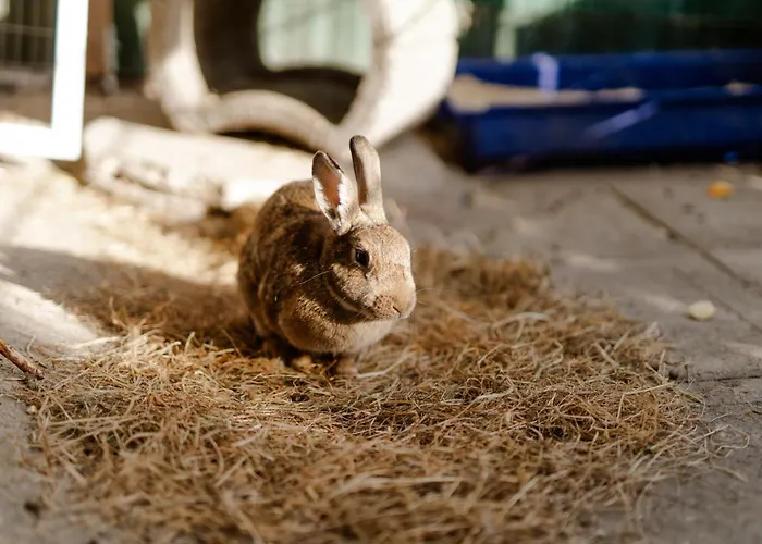 Appartamento Achter De Hoef Whg 3