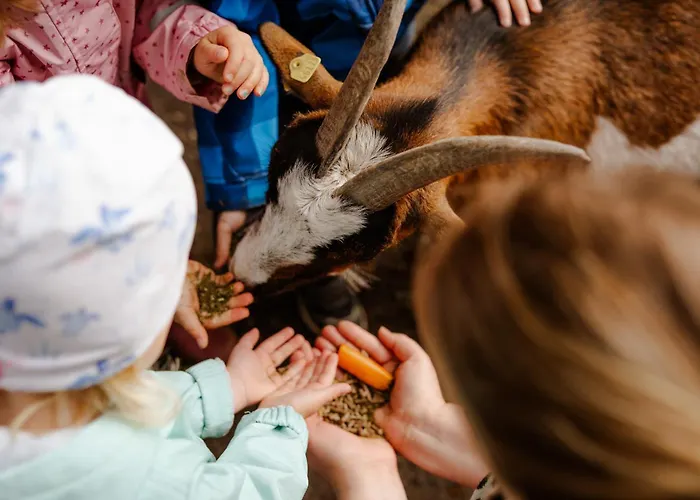 Achter De Hoef Whg 3 Appartamento *