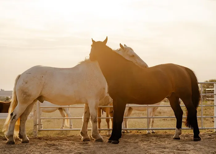 Achter De Hoef Whg 3 * Staberdorf