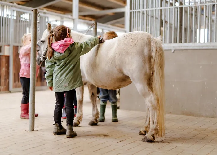 Achter De Hoef Whg 3 Appartamento *