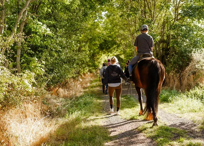 Achter De Hoef Whg 3 Appartamento *