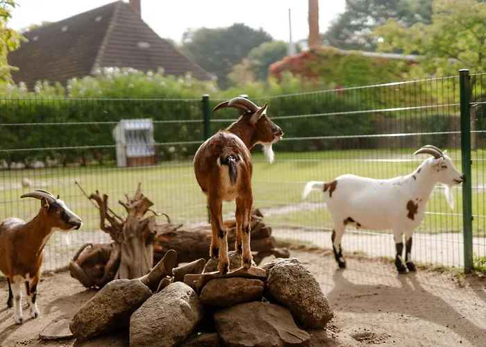 Achter De Hoef Whg 3 Appartamento