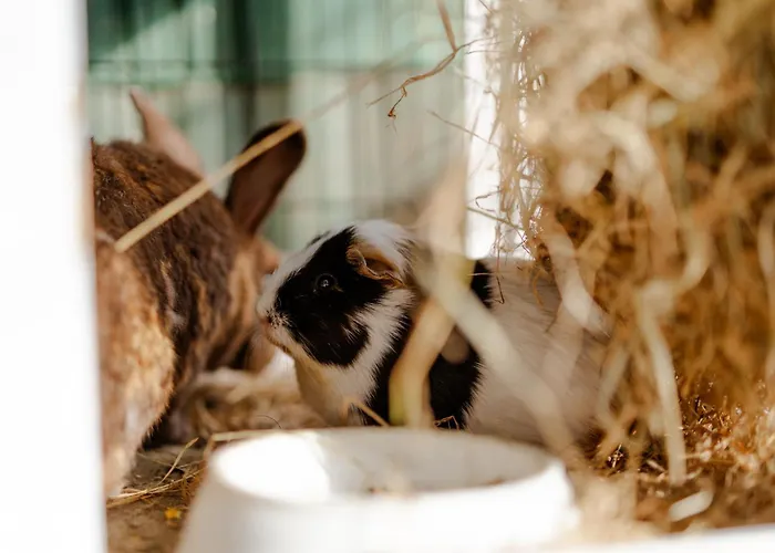 Achter De Hoef Whg 3